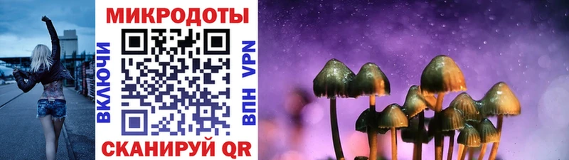 где можно купить наркотик  Навашино  Псилоцибиновые грибы мухоморы 